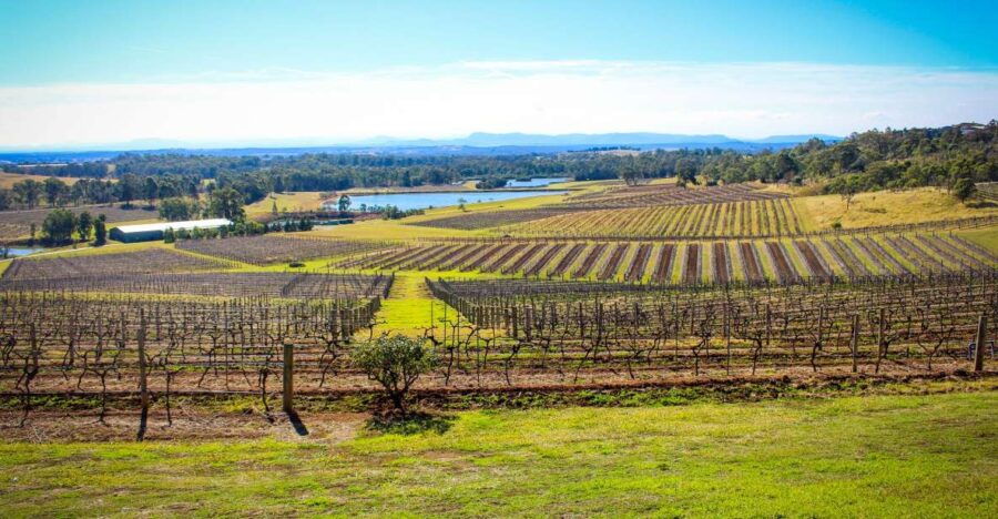 From Sydney: Hunter Valley Wine Tasting Private Day Tour