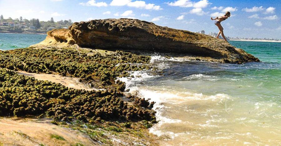 From Sydney: Kiama Blowhole, Beaches, and Farmlands Tour