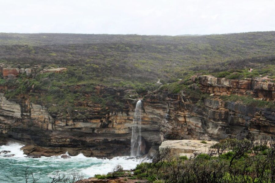 From Sydney: Private Day Trip to Royal National Park - Good To Know