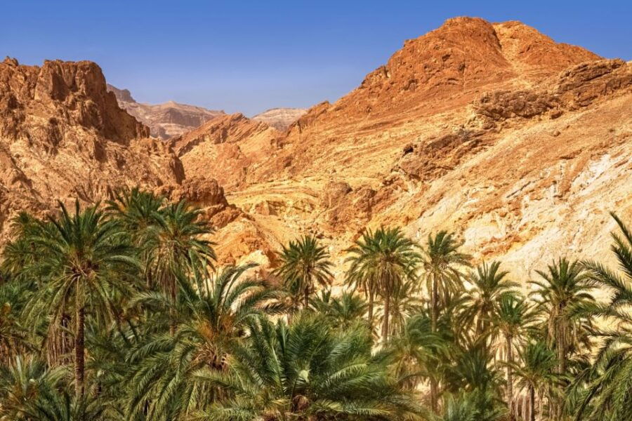 From Taghazout: Paradise Valley Natural Atlas Guided Tour