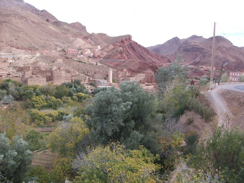 From Tangier : 10 Days to Chefchaouen and Fes ,Sahara Desert