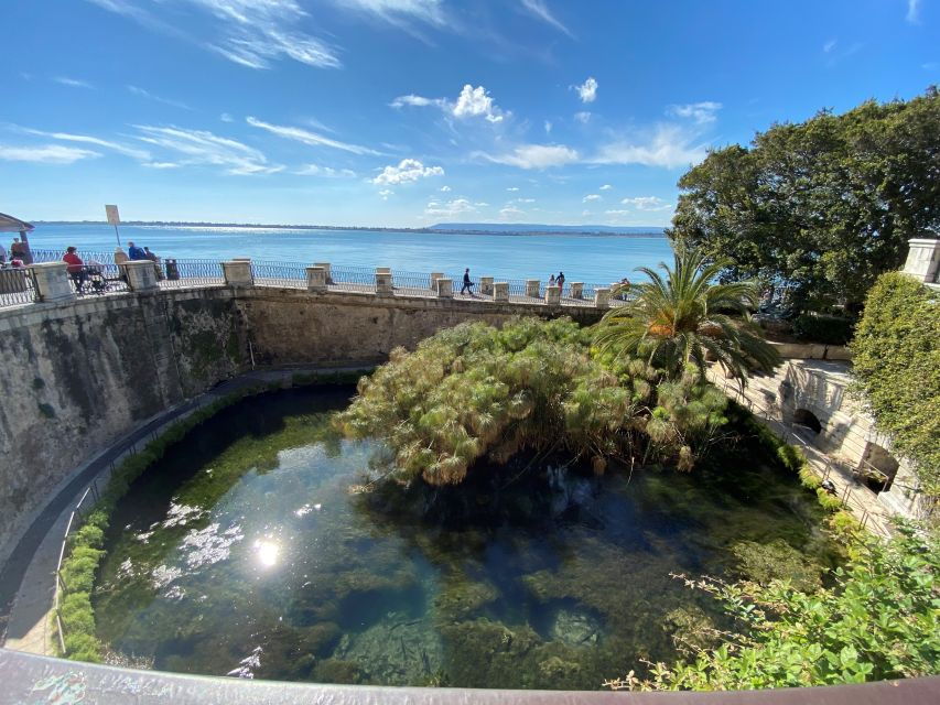 From Taormina: Full-Day Guided Tour of Syracuse - Good To Know