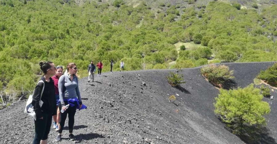 From Taormina: Half-Day Mount Etna Morning Trek - Good To Know