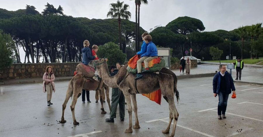 From Tarifa: Tangier Day Tour With Bazaar Shopping and Lunch - Good To Know