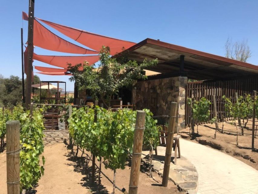 From Tijuana: Valle De Guadalupe Private Winery Tour - Good To Know