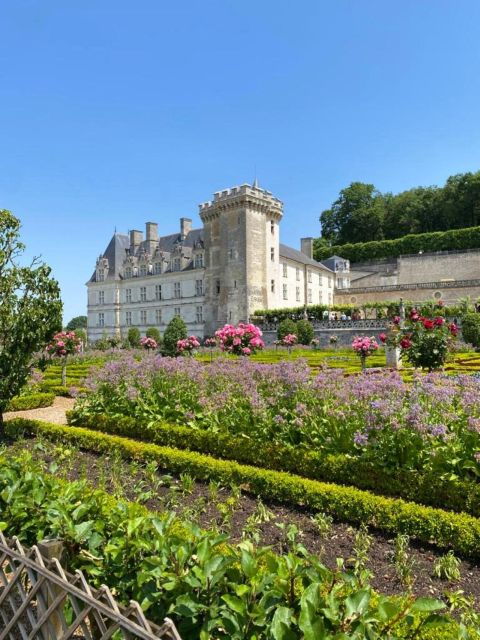 From Tours: Afternoon Loire Valley Wine Tour to Vouvray - Good To Know