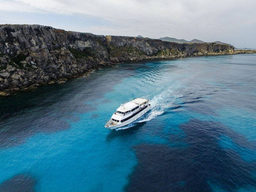 From Trapani: Favignana and Levanzo Motorboat Cruise