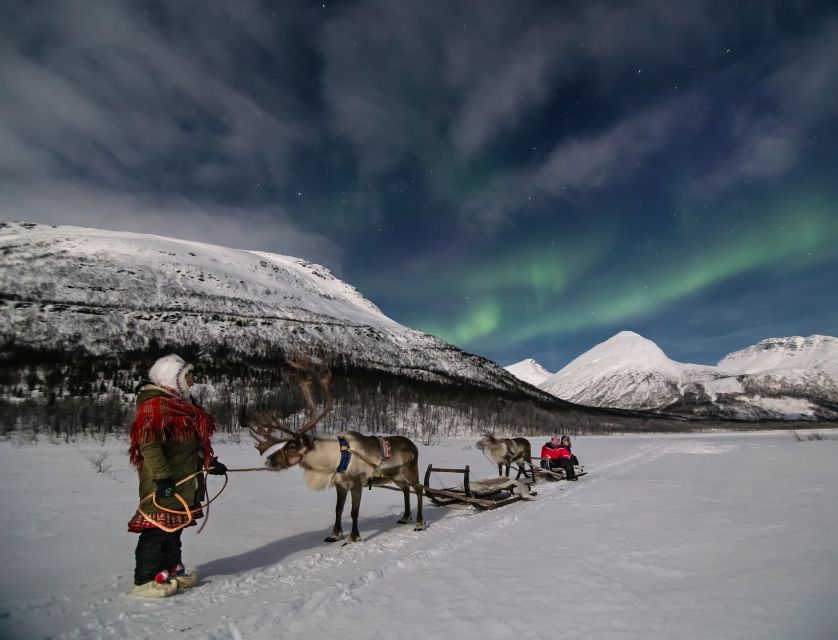 From Tromsø: Evening Reindeer Sledding at Camp Tamok