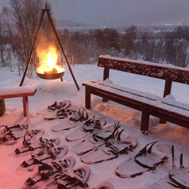 From Tromsø: Guided Husky Snowshoe Hike and Husky Camp Visit