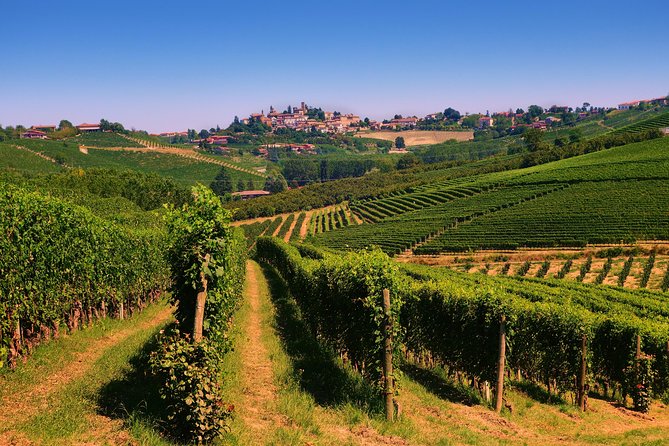 From Turin PRIVATE, Langhe Wine Tour With Transfer and Lunch - Good To Know