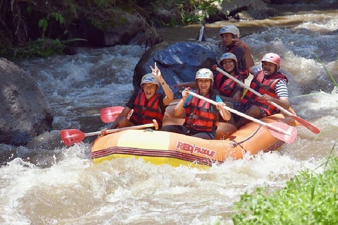 From Ubud : White Water Rafting at Ayung River - Tour Overview