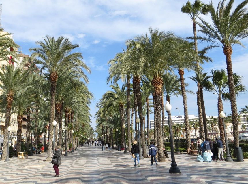 From Valencia: Alicante With Guided Tour With Local Guide