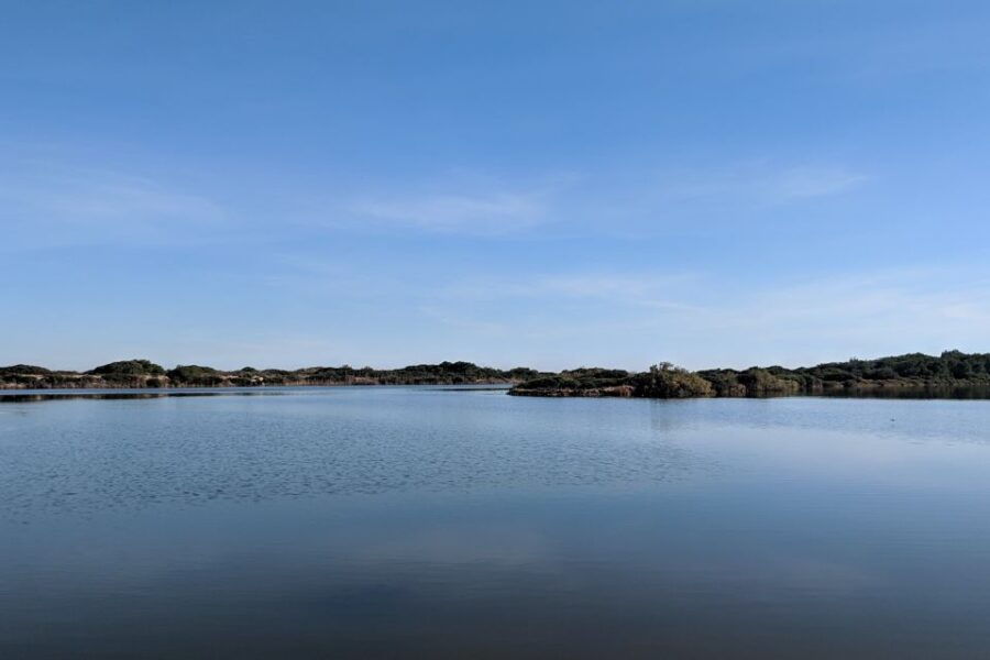 From Valencia: Private Albufera Van Tour With Boat Ride - Good To Know