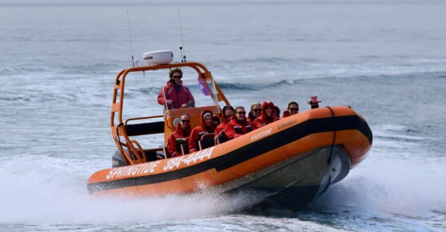 From Victoria: Whale Watching Tour by Zodiac Boat - Good To Know