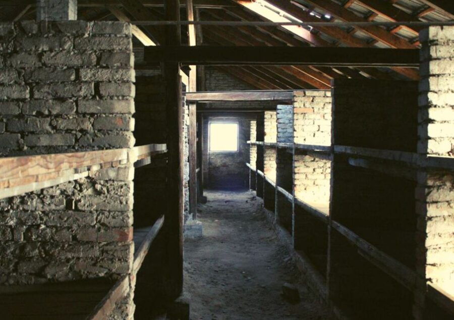 From Warsaw: Auschwitz Day Tour by Private Car With Lunch - Good To Know