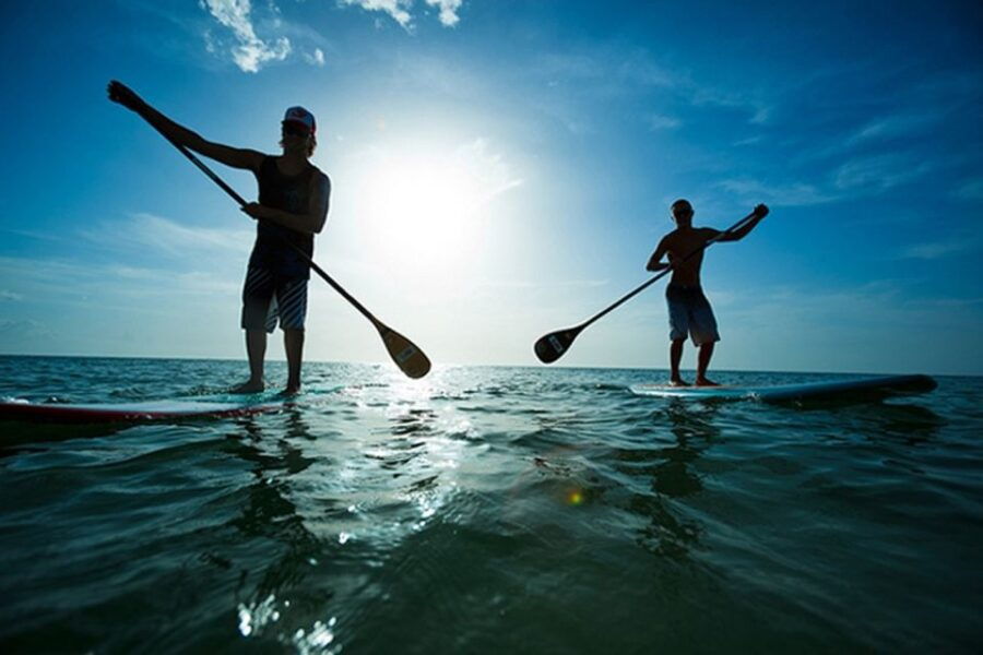 Fuerteventura: 1.5-Hour SUP Course – Caleta De Fuste
