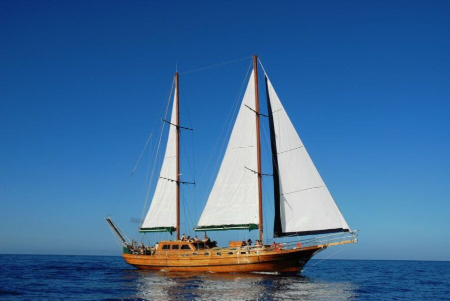 Fuerteventura: Exclusive Turkish Gulet Cruise With Lunch