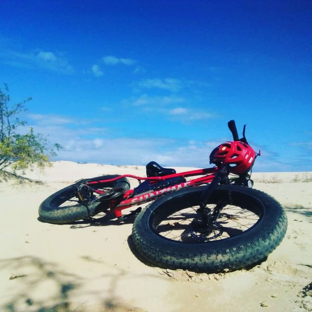 Fuerteventura: Explore the Area With a Bike Rental