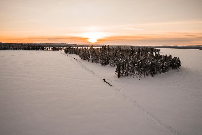 Full Day 30 to 40km Taiga Husky Tour With a Lunch, in Rovaniemi - Good To Know