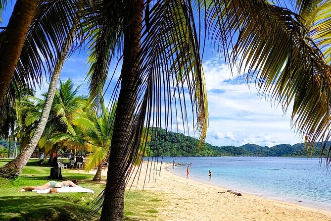 Full-day Adventure to Caribbean Sea: Mamey and Grande Island