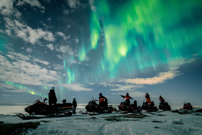 Full Day Arctic Adventure in Alta