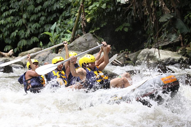 Full-Day Ayung River White Water Rafting and Ubud Tour - Good To Know