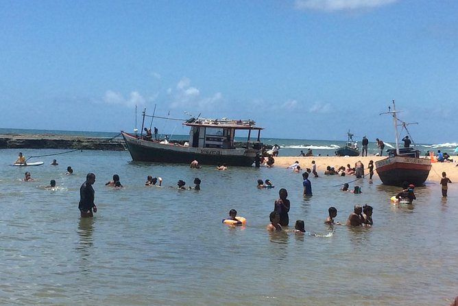 Full-Day Beach Hopping Tour From Salvador Da Bahia, Brazil