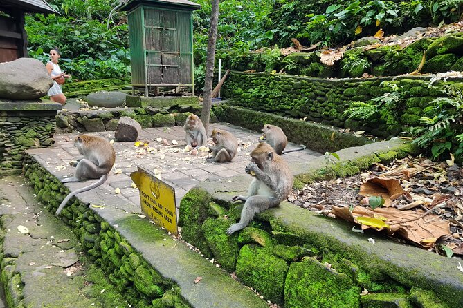 Full Day Best of Ubud Private Tour - Good To Know