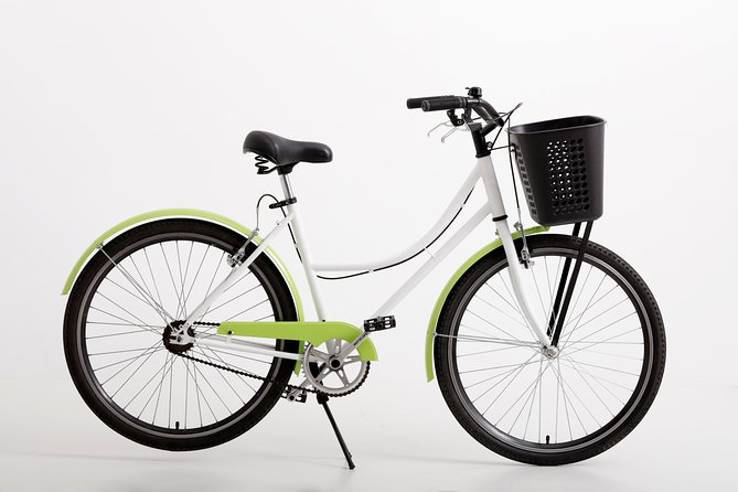 Full Day Bike Rental in Buenos Aires