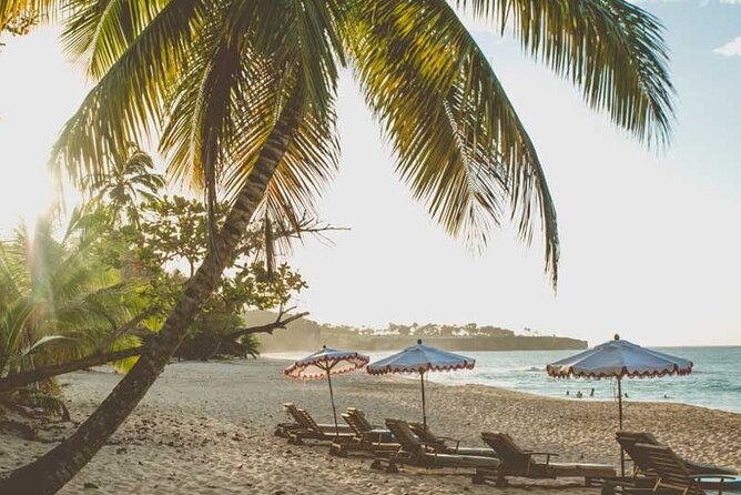 Full-Day Blue Lagoon Tour in Dominican Republic
