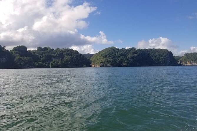 Full-Day Boat Tour of Los Haitises National Park