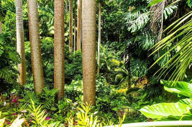 Full-Day Bridgetown, Bathsheba and Botanical Tour (Feb )