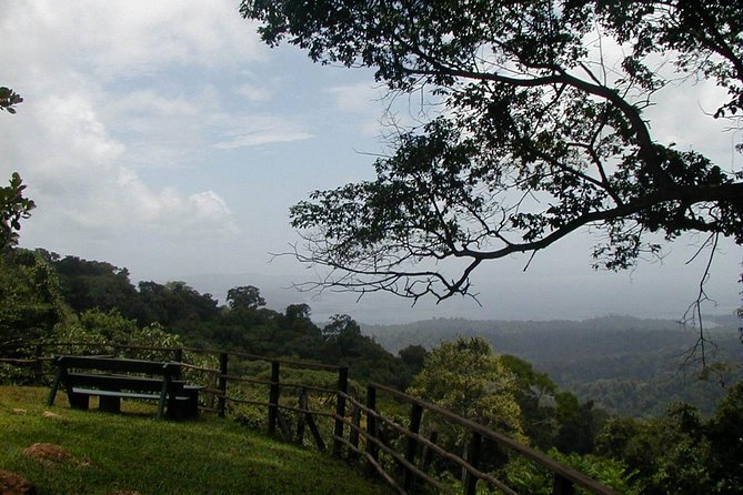 10 Best Tours In Paramaribo
