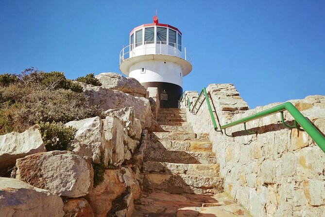 Full Day Cape Peninsula Tour - Good To Know