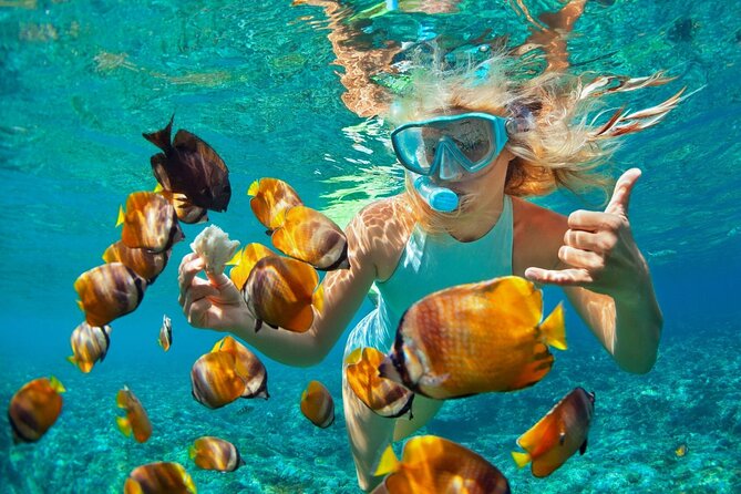 Full-Day Catamaran Snorkeling Tour With Lunch From Puerto Plata