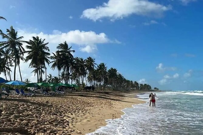 Full Day City Tour of Punta Cana