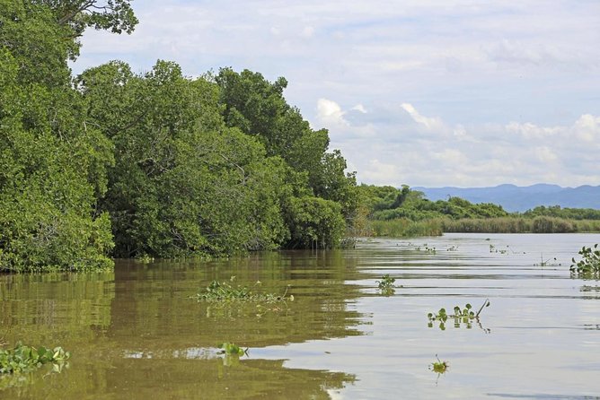 Full-Day Combo Tour With Entries to YS Falls, Black River Safari & Pelican Bar