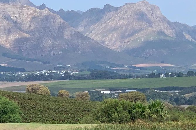 Full Day Constantia Wine Tasting and Table Mountain.
