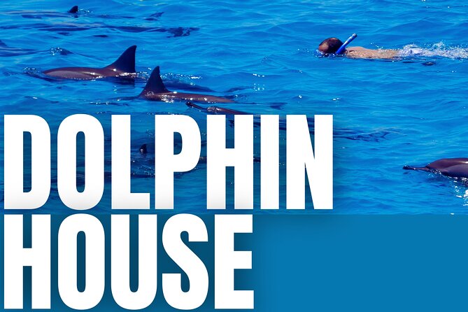 Full-Day Dolphin House Guided Boat Trip From Hurghada With Lunch - Good To Know