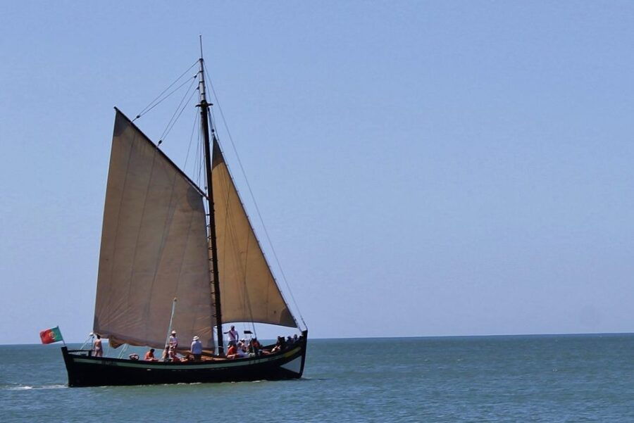 Full-Day Dolphin Watching Tour From Lisbon - Good To Know