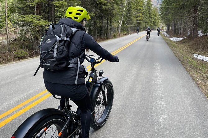 Full-Day E-Bike Rental in Flathead Valley