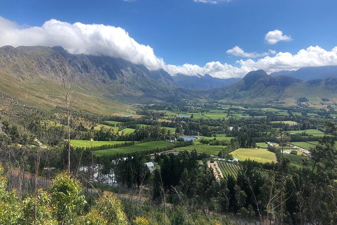 Full Day Ebike Cape Winelands and Stellenbosch - Good To Know