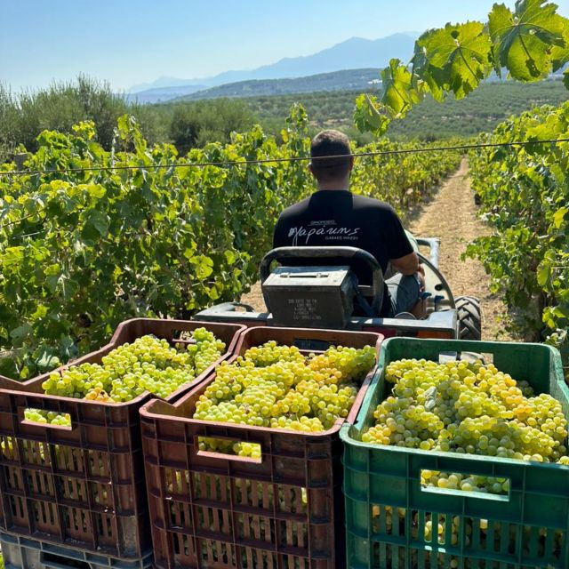 Full Day-Ecobike Old Villages Tour & Wine Tasting