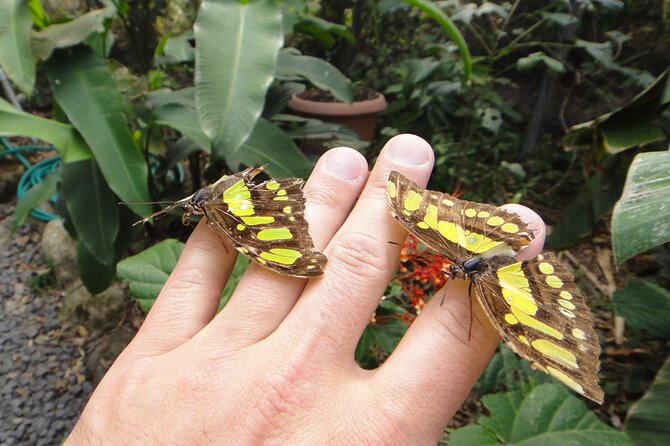 Full Day El Vallé Enchantment Tour With Private Guide - Good To Know