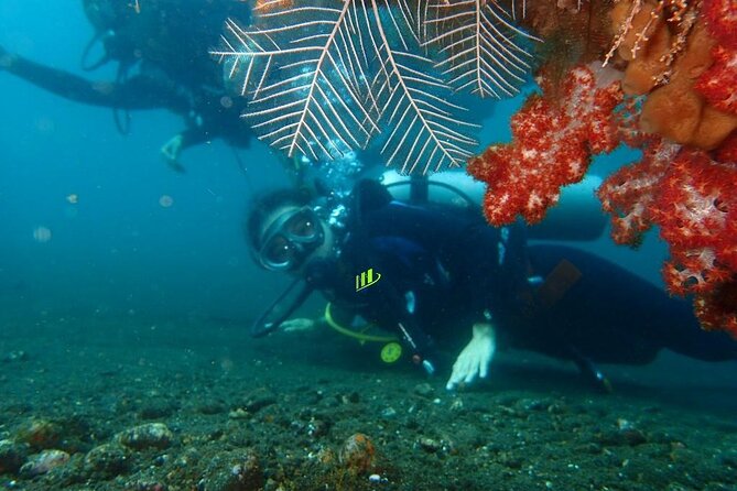Full Day Experience Fun Dive in Tulamben - Dive Sites Exploration