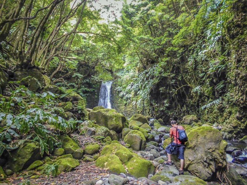 Full-Day Faial Da Terra Nordeste From Ponta Delgada