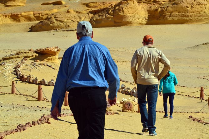 Full-Day Fayoum Oasis Private Tour From Cairo or Giza - Good To Know