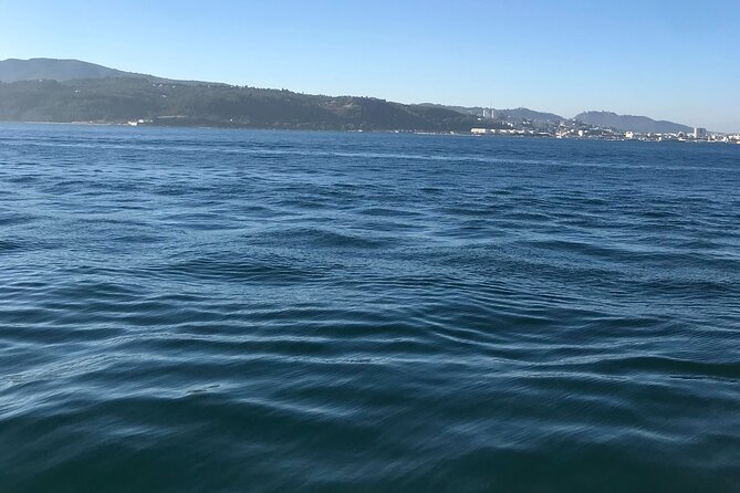 Full-Day Guided Tour of the Arrabida Region - Good To Know