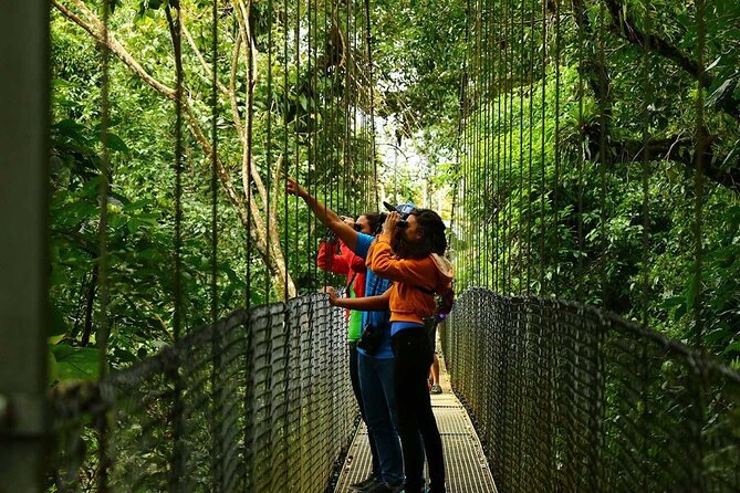 Full Day Hanging Bridges, Arenal Volcano, Fortuna Waterfall and Hotsprings - Good To Know