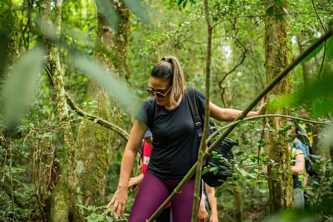 Full Day Hike Through Secret Waterfalls in Foz Do Iguaçu